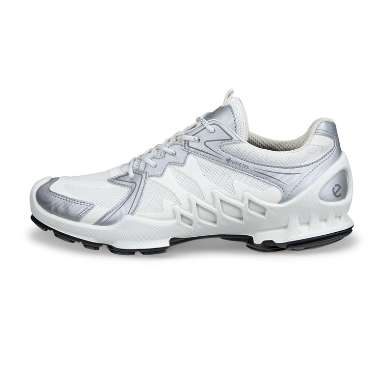 Кроссовки ECCO BIOM AEX W 802883/61656