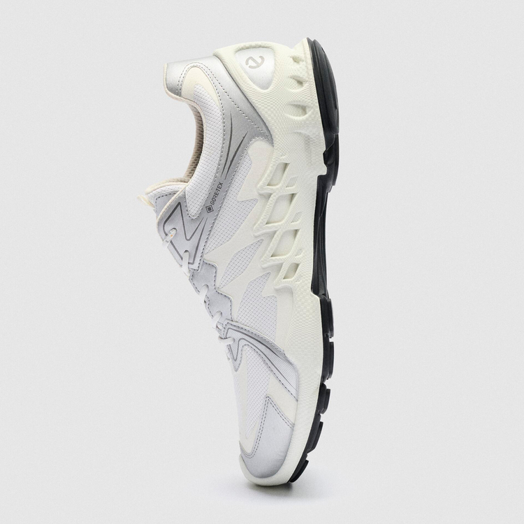 Кроссовки ECCO BIOM AEX M 802884/61656