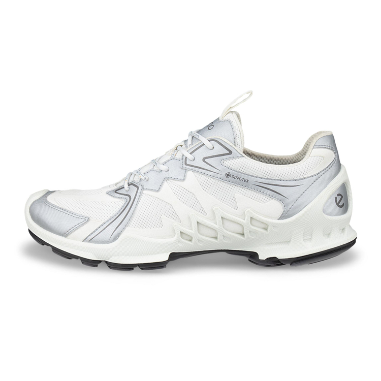 Кроссовки ECCO BIOM AEX M 802884/61656