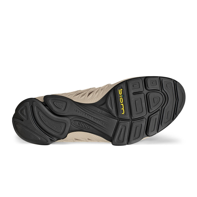 Кроссовки ECCO BIOM AEX W 802913/61800