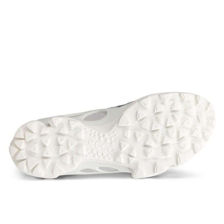 Кроссовки ECCO BIOM C-TRAIL M 803224/60945