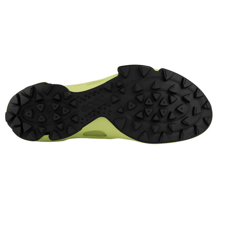 Челси ECCO BIOM C-TRAIL W 803273/60966