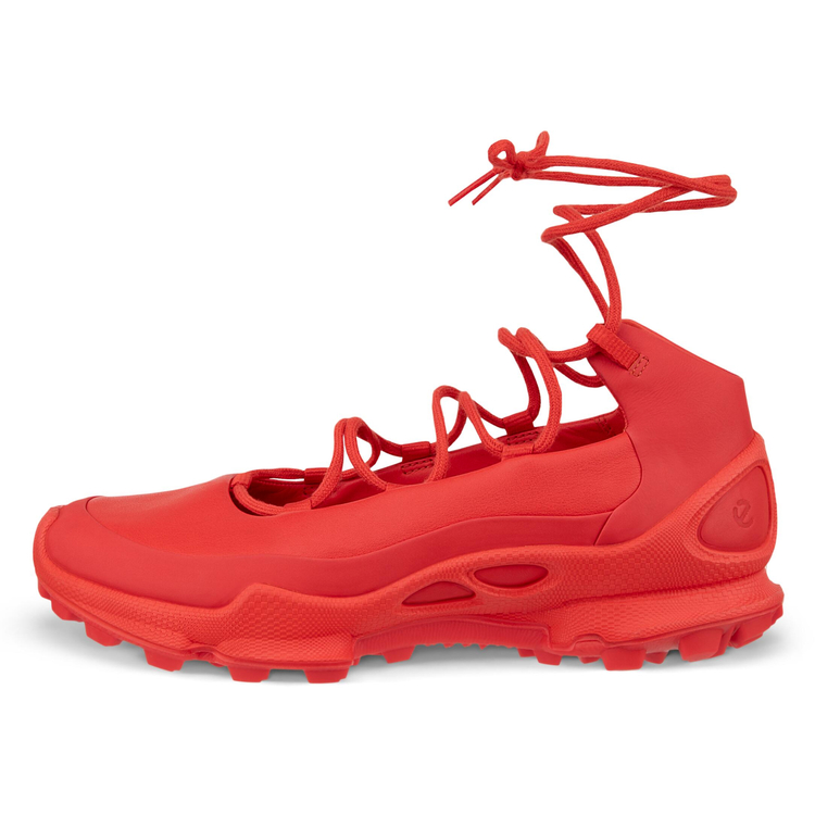 Балетки ECCO BIOM C-TRAIL W 803373/61102