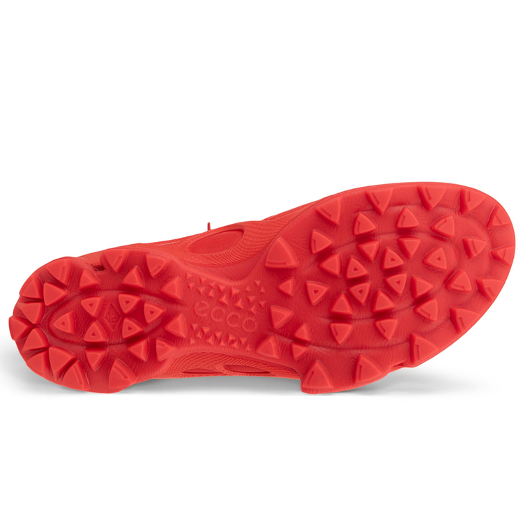 Балетки ECCO BIOM C-TRAIL W 803373/61102