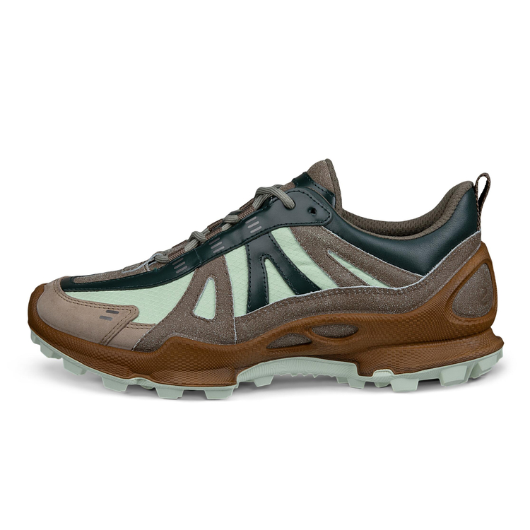 Кроссовки ECCO BIOM C-TRAIL W 803443/61317