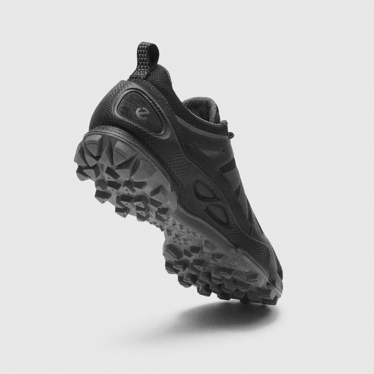 Кроссовки ECCO BIOM C-TRAIL W 803463/51094