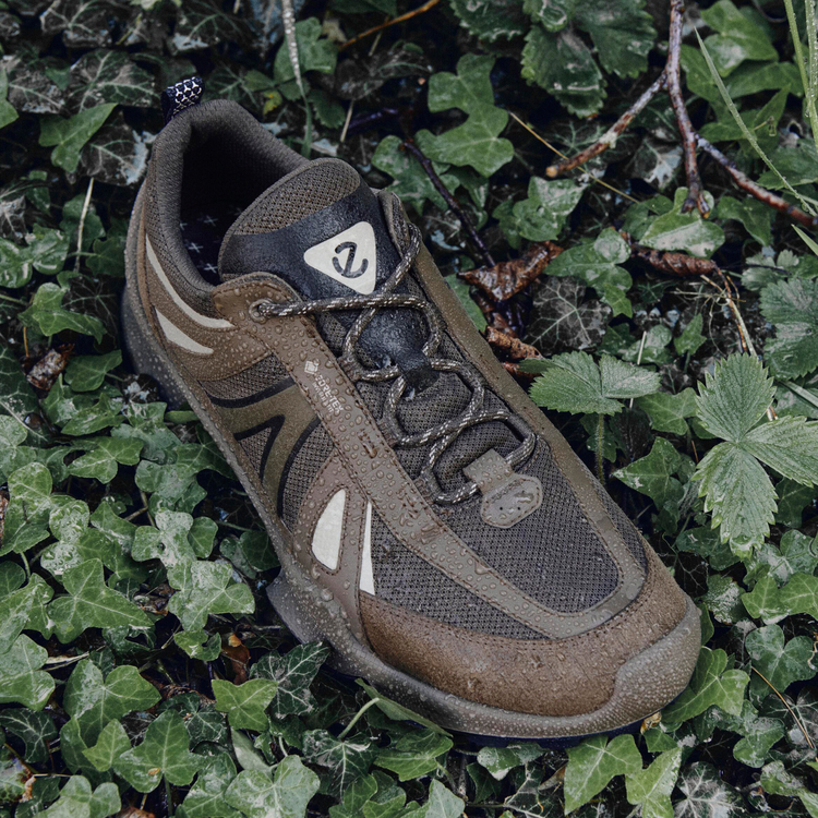 Кроссовки ECCO BIOM C-TRAIL M 803464/51338