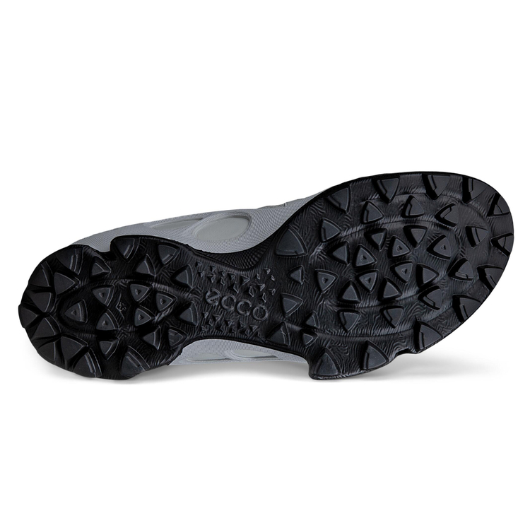 Кроссовки ECCO BIOM C-TRAIL M 803464/61418