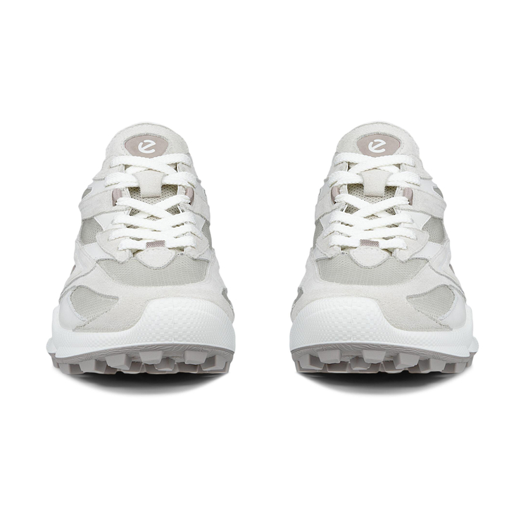 Кроссовки ECCO BIOM C-TRAIL W 803473/61421