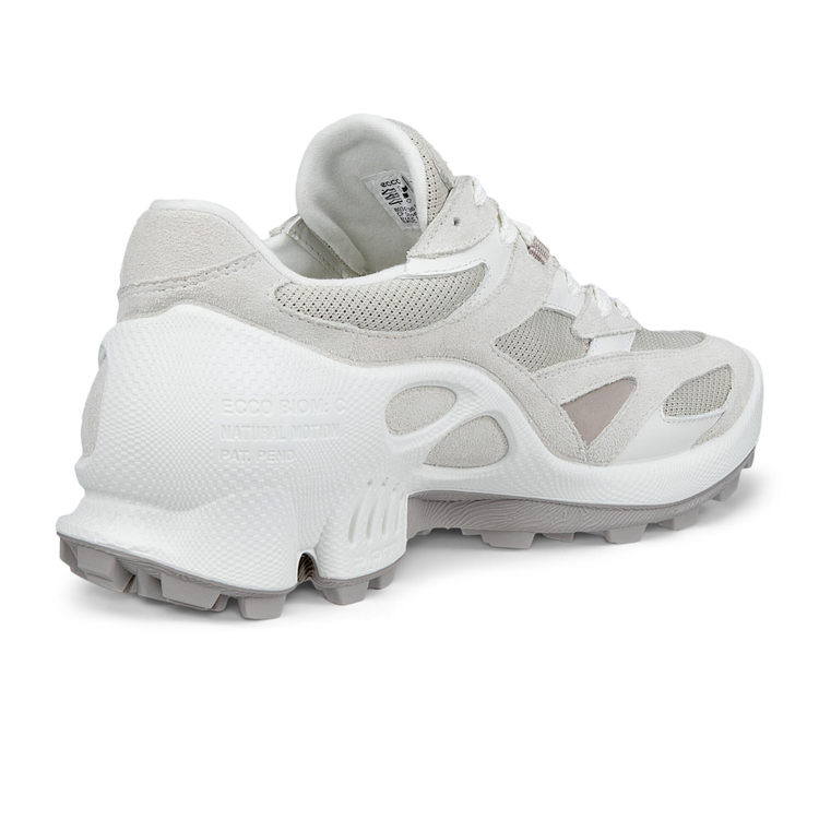 Кроссовки ECCO BIOM C-TRAIL W 803473/61421