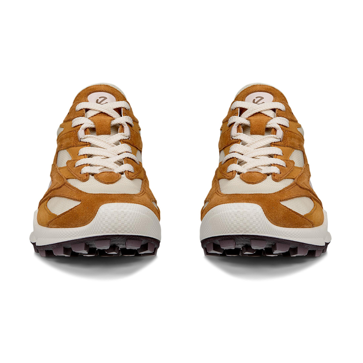 Кроссовки ECCO BIOM C-TRAIL W 803473/61422