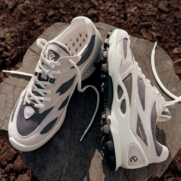 Кроссовки ECCO BIOM C-TRAIL M 803474/61420