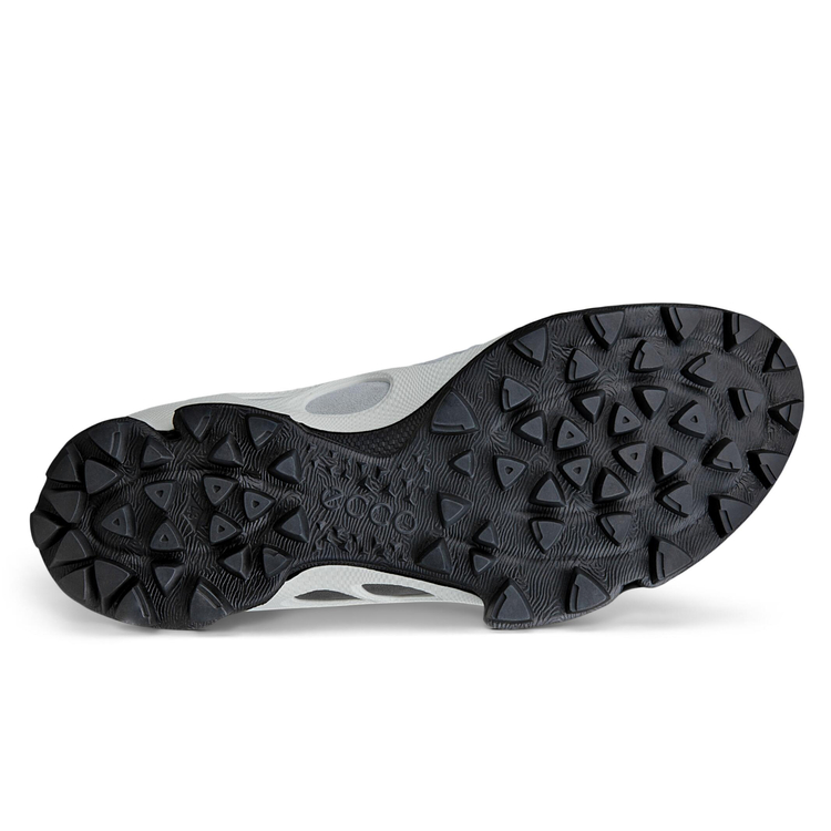 Кроссовки ECCO BIOM C-TRAIL M 803474/61420