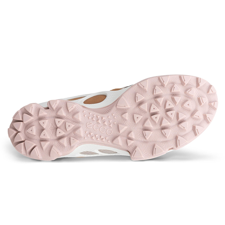 Кроссовки ECCO BIOM C-TRAIL W 803673/61713