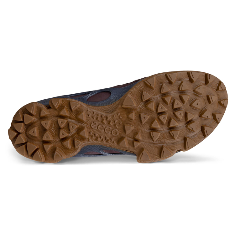 Кроссовки ECCO BIOM C-TRAIL M 810444/61720