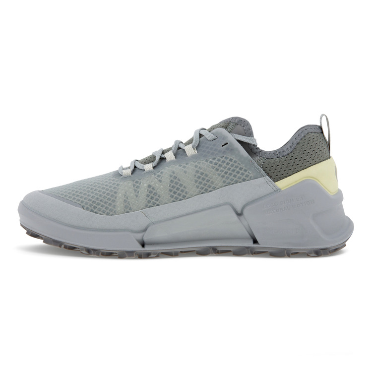 Кроссовки ECCO BIOM 2.1 X COUNTRY W 822803/60264
