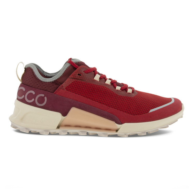 Кроссовки ECCO BIOM 2.1 X COUNTRY W 822803/60419