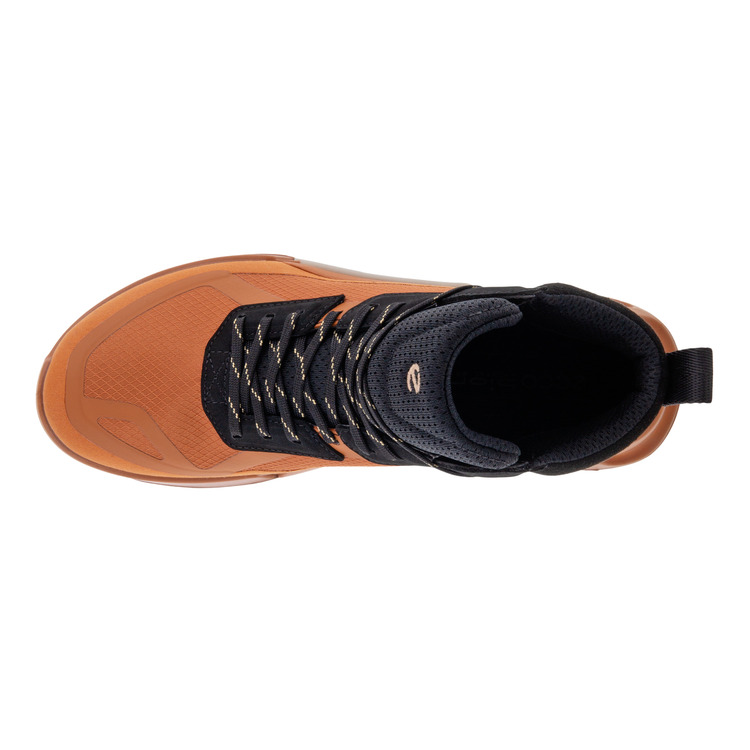 Ботинки ECCO BIOM 2.1 X MOUNTAIN W 823803/60440