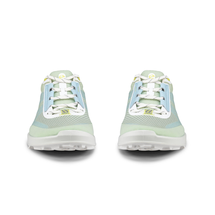 Кроссовки ECCO BIOM 2.1 X MOUNTAIN W 823853/60897