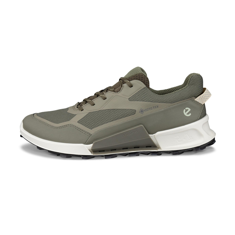 Кроссовки ECCO BIOM 2.1 X MOUNTAIN M 823924/61480