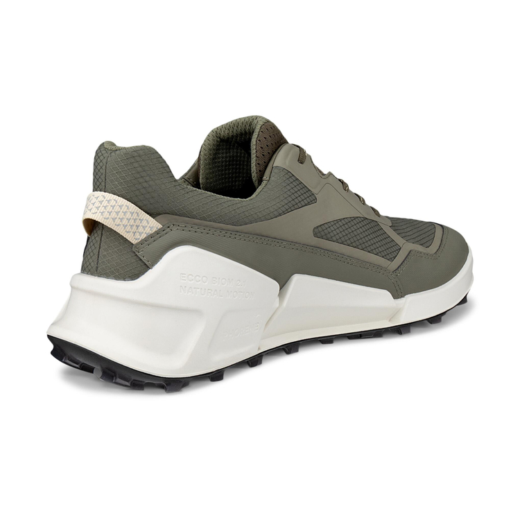 Кроссовки ECCO BIOM 2.1 X MOUNTAIN M 823924/61480