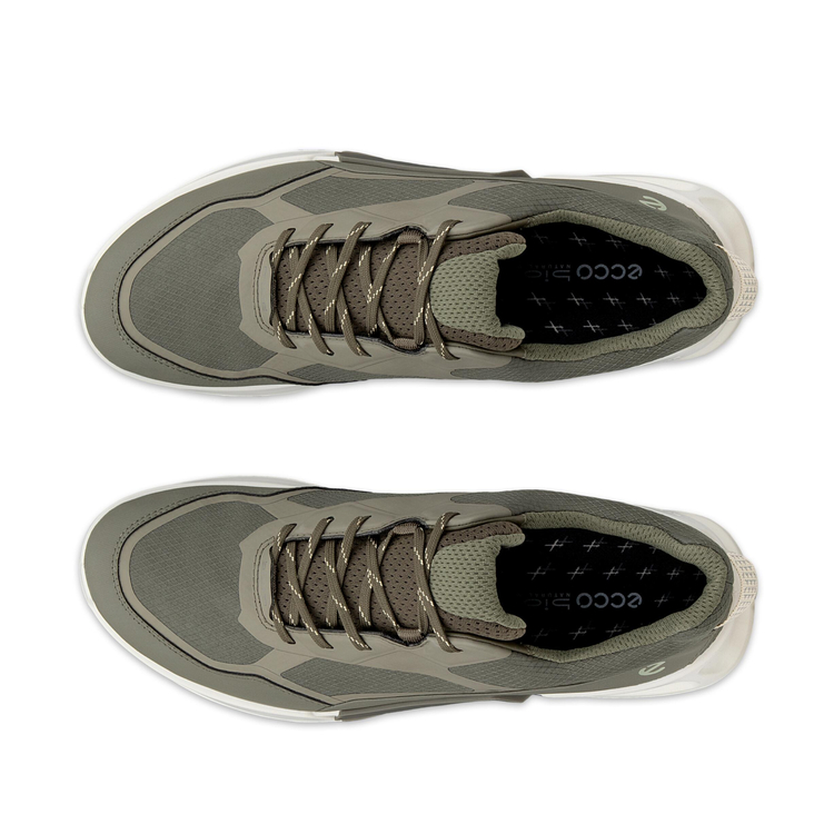 Кроссовки ECCO BIOM 2.1 X MOUNTAIN M 823924/61480