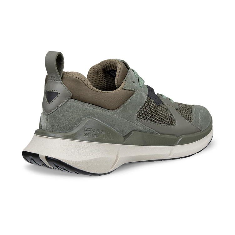 Кроссовки ECCO BIOM 2.2 M 830774/61480