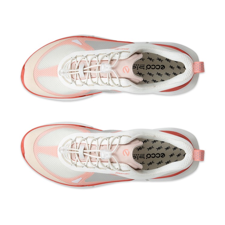 Кроссовки ECCO BIOM 2.2 W 830873/61504