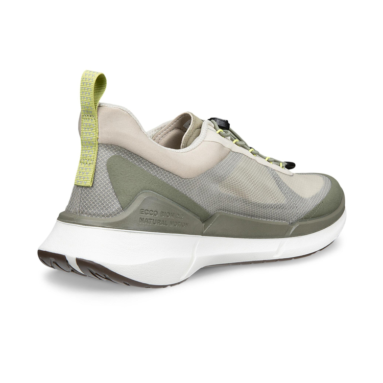 Кроссовки ECCO BIOM 2.2 M 830874/61485