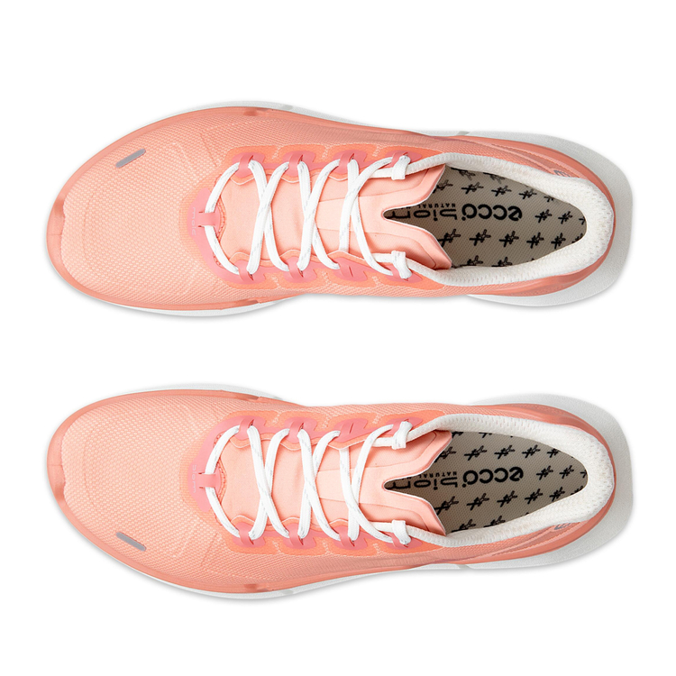 Кроссовки ECCO BIOM 2.2 W 830943/61532