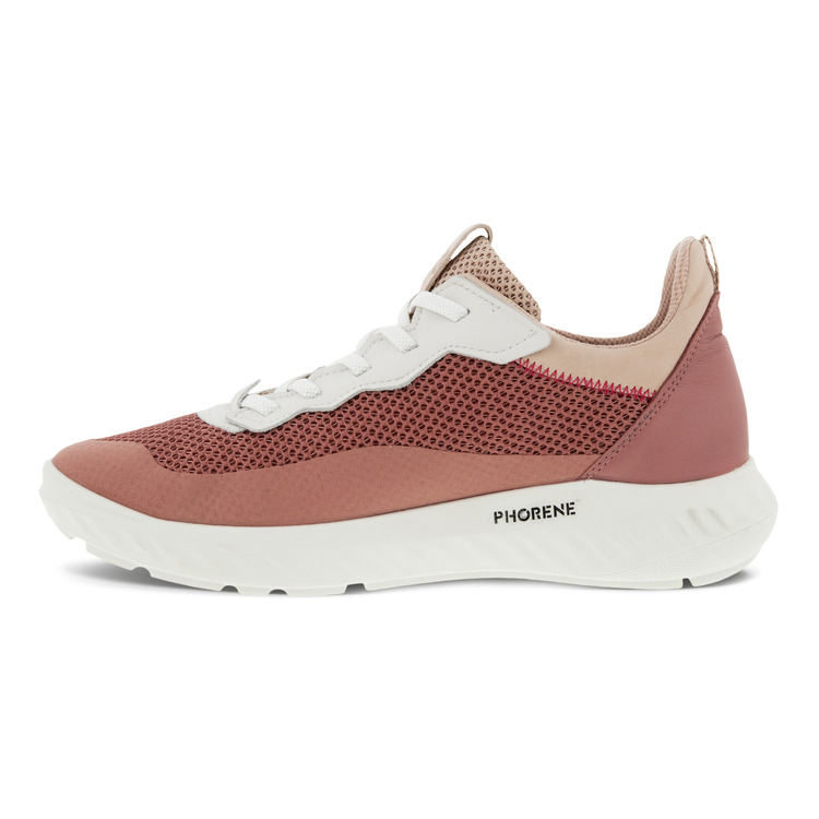 phorene ecco