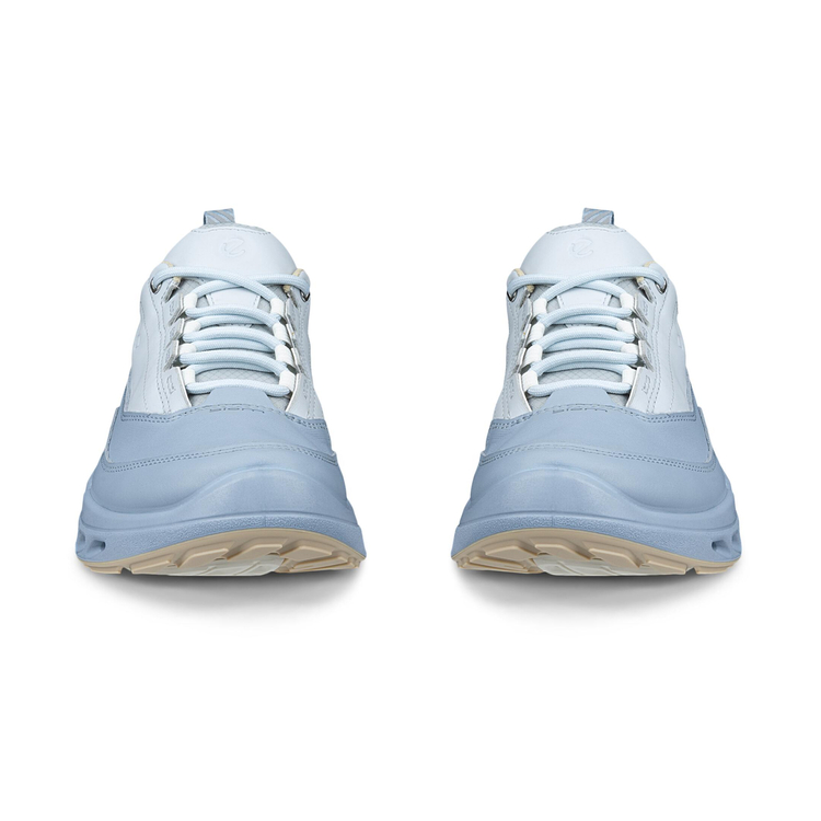 Кроссовки ECCO BIOM 720 W 850303/61641