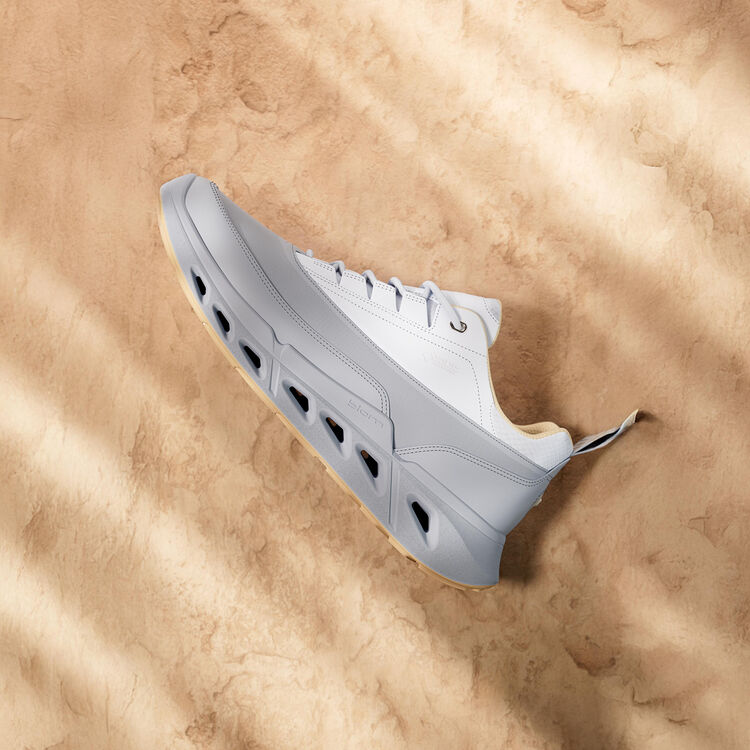 Кроссовки ECCO BIOM 720 W 850303/61641