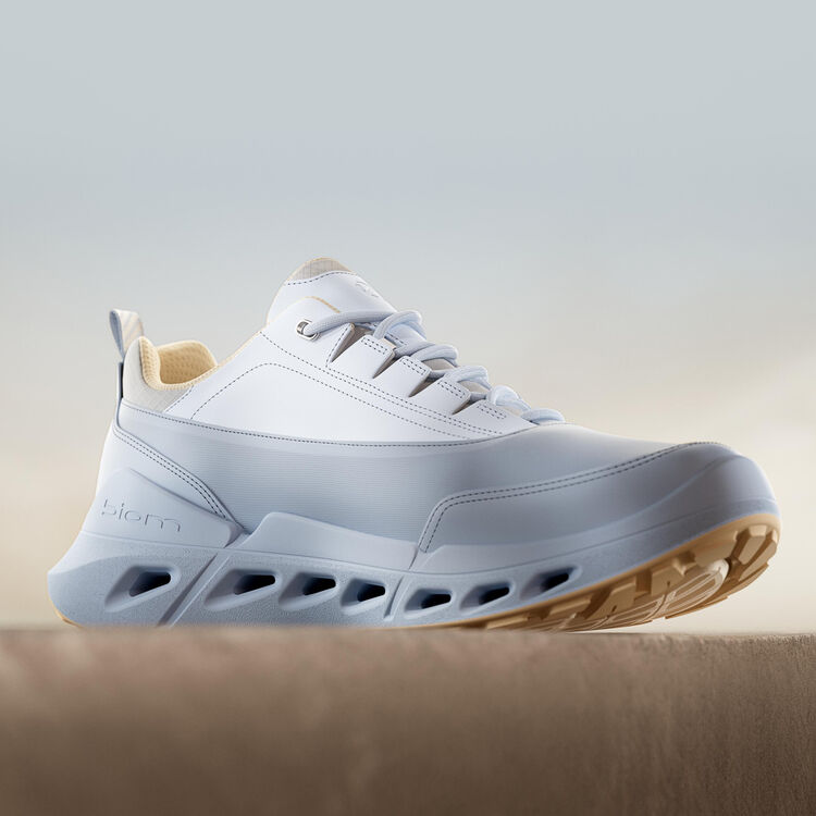 Кроссовки ECCO BIOM 720 W 850303/61641