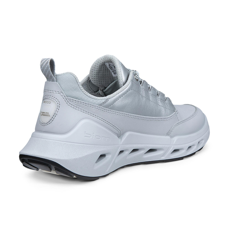 Кроссовки ECCO BIOM 720 W 850303/61795