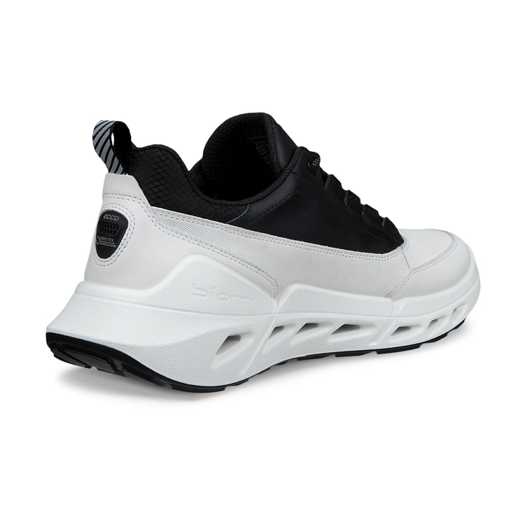 Кроссовки ECCO BIOM 720 M 850304/51222