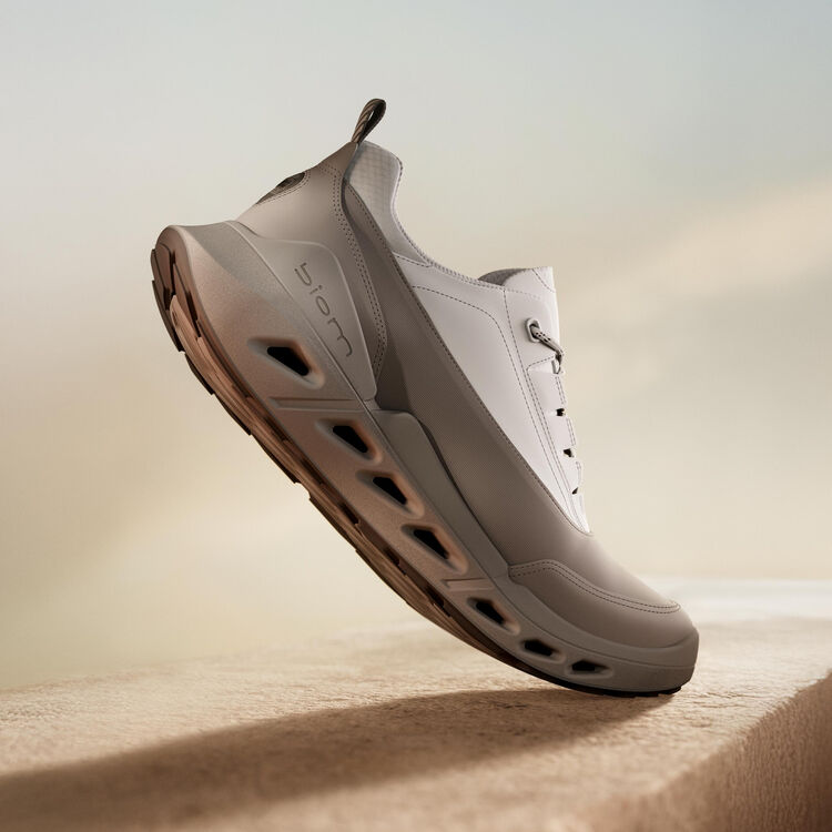 Кроссовки ECCO BIOM 720 M 850304/60512