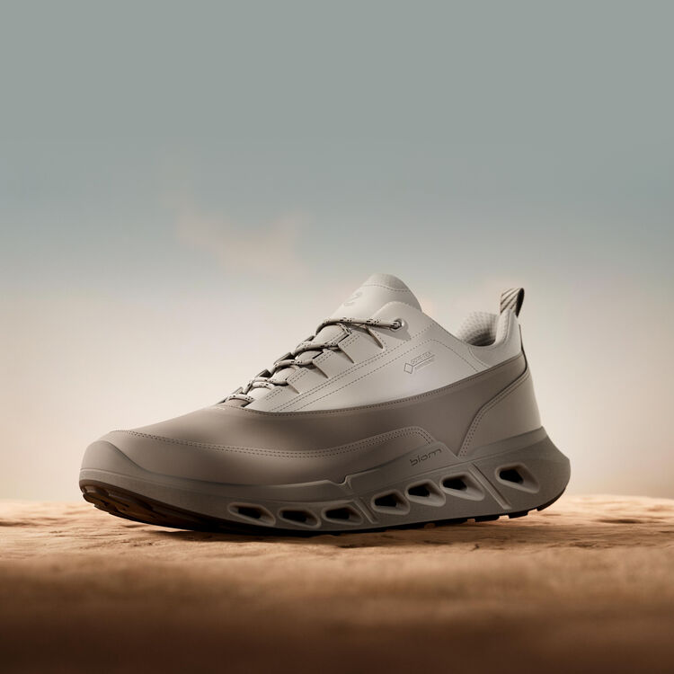 Кроссовки ECCO BIOM 720 M 850304/60512