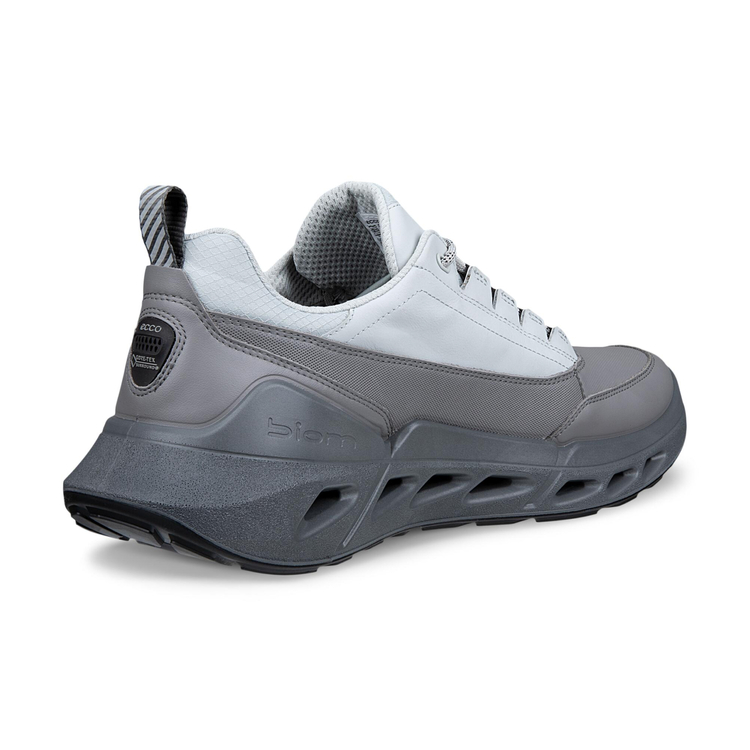 Кроссовки ECCO BIOM 720 M 850304/60512