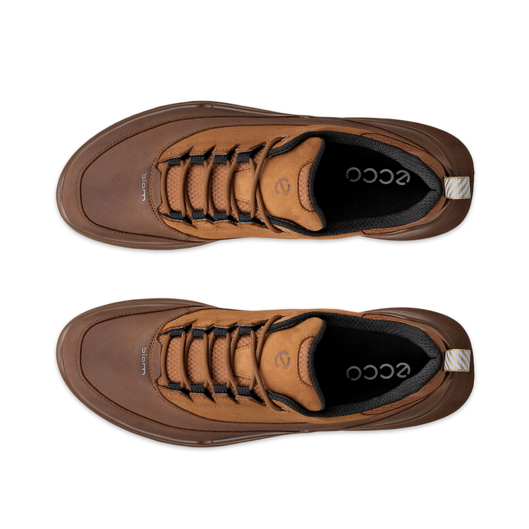 Кроссовки ECCO BIOM 720 M 850304/61642