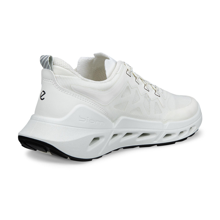 Кроссовки ECCO BIOM 720 W 850313/51969