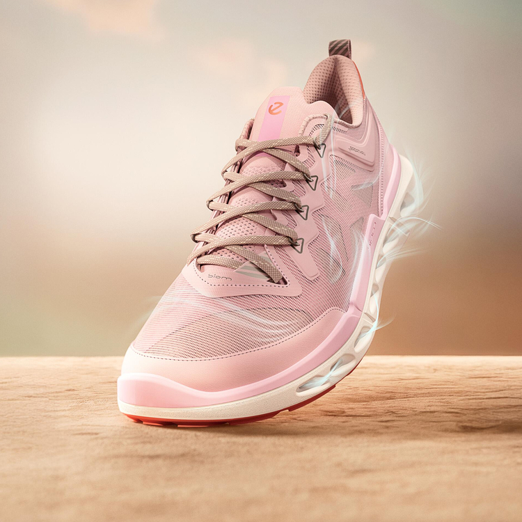 Кроссовки ECCO BIOM 720 W 850313/61643