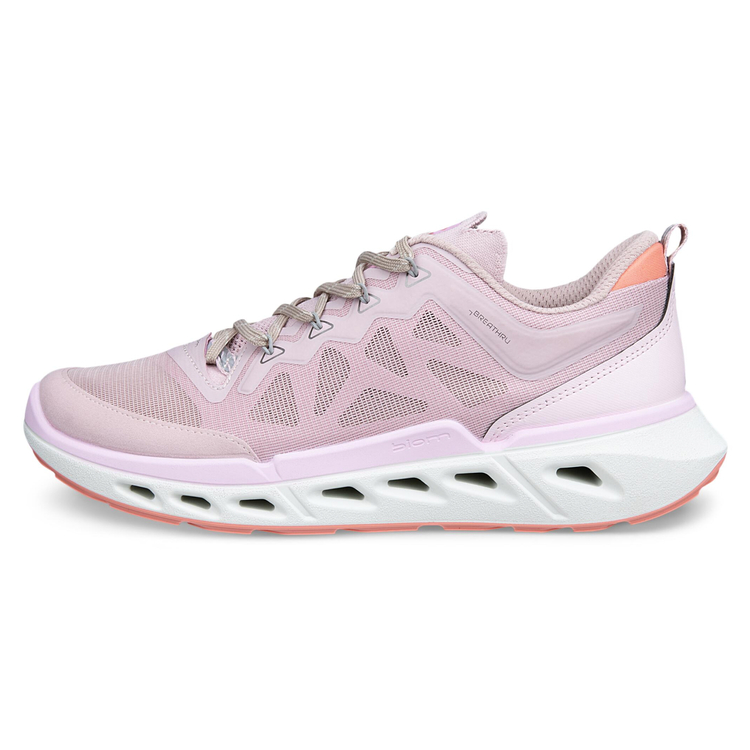 Кроссовки ECCO BIOM 720 W 850313/61643