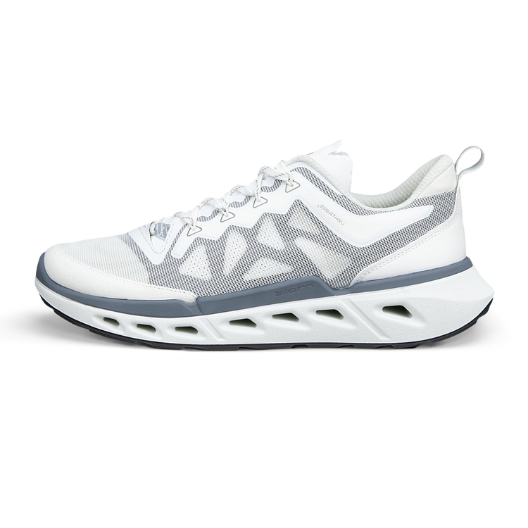 Кроссовки ECCO BIOM 720 M 850314/61644