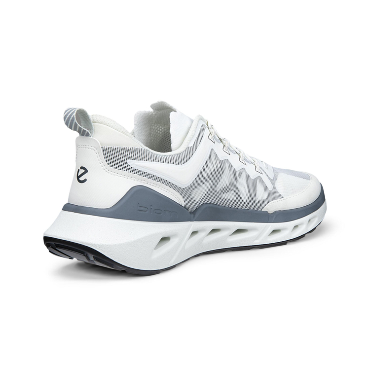 Кроссовки ECCO BIOM 720 M 850314/61644