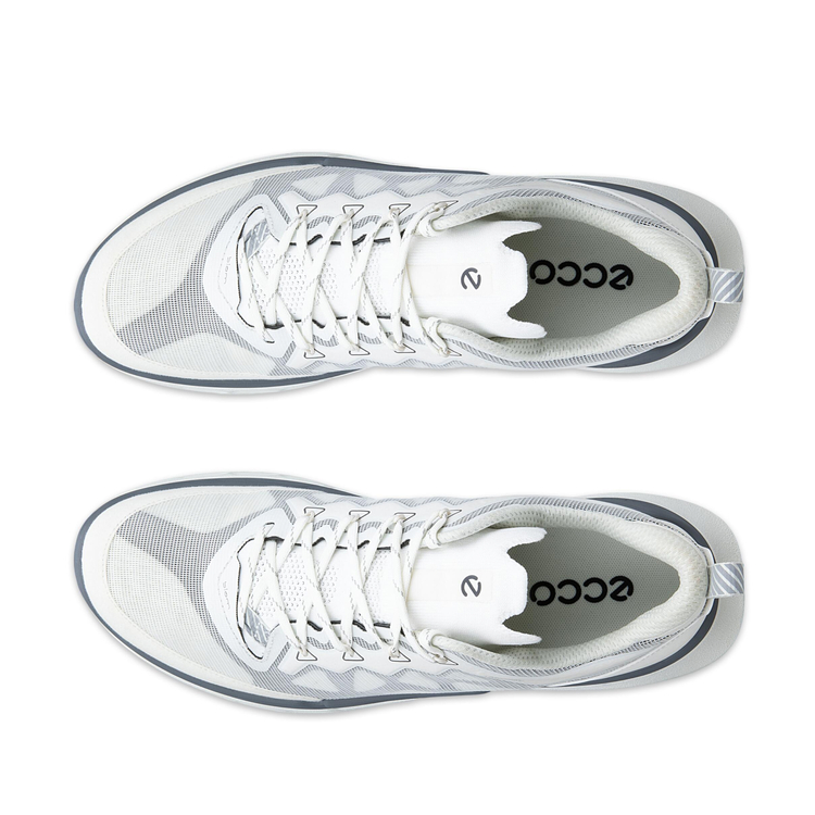 Кроссовки ECCO BIOM 720 M 850314/61644