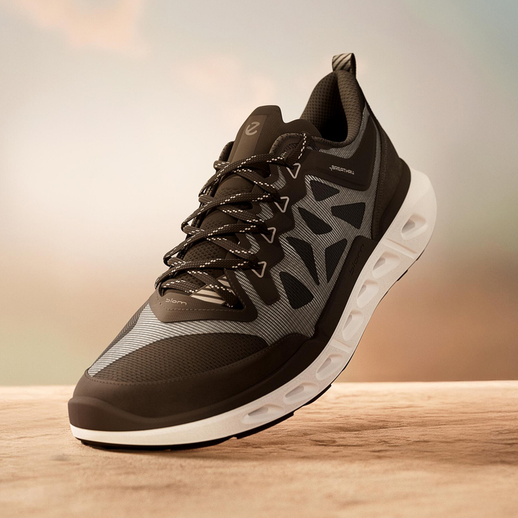 Кроссовки ECCO BIOM 720 M 850314/61645