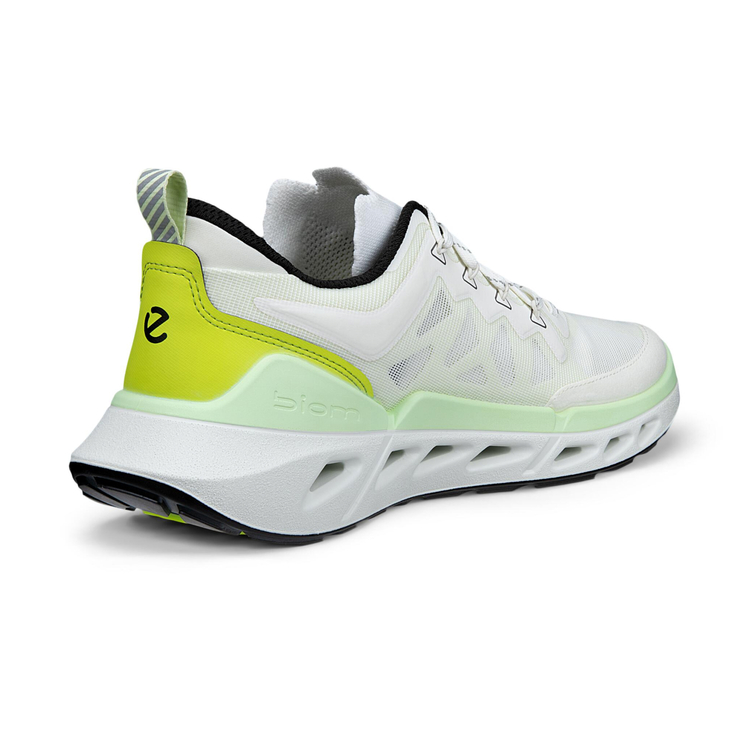 Кроссовки ECCO BIOM 720 M 850314/61646