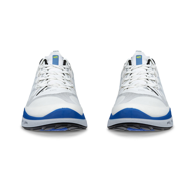 Кроссовки ECCO BIOM 720 M 850314/61647