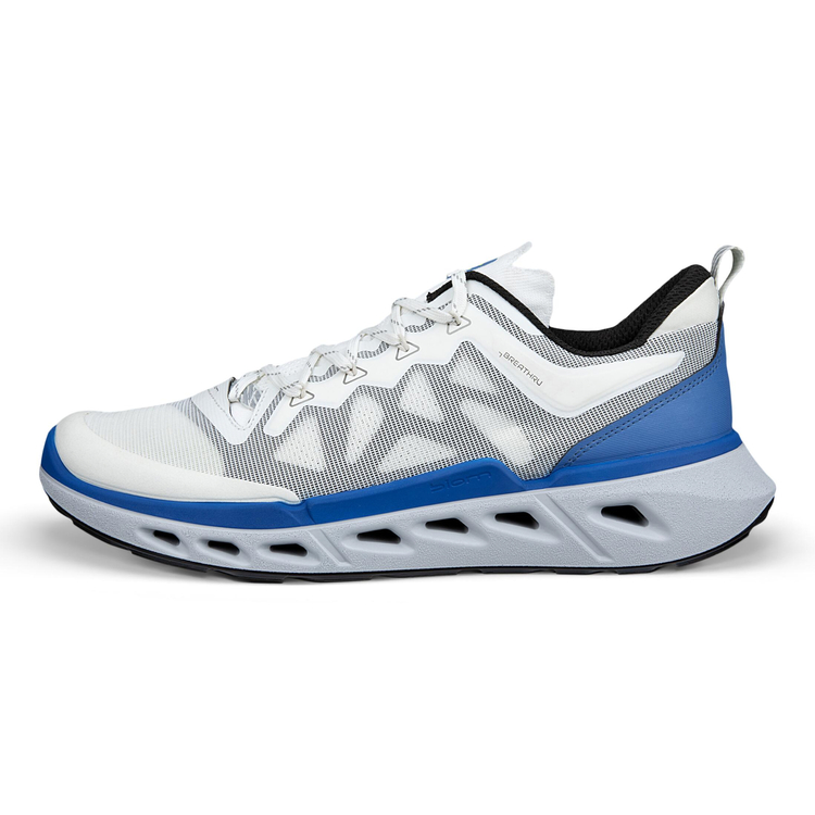Кроссовки ECCO BIOM 720 M 850314/61647